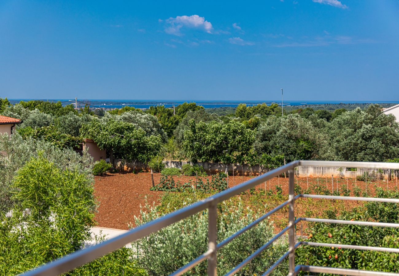 Ferienwohnung in Galižana - Apartment Vito mit Balkon