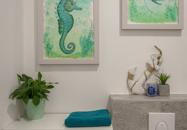 Studio in Pula - City Center Amphitheater Studio B Studio in Pula - City Center Amphitheater Studio B