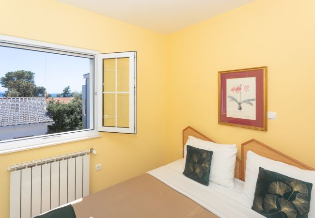 Ferienwohnung in Petrcane - Pansion Pirat - Zwei-Zimmer-Wohnung Ferienwohnung in Petrcane - Pansion Pirat - Zwei-Zimmer-Wohnung