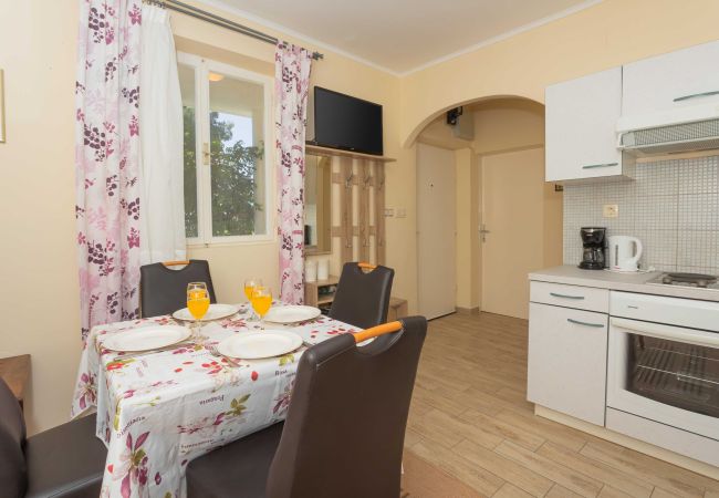 Ferienhaus in Petrcane - Ferienhaus La Casita Ferienhaus in Petrcane - Ferienhaus La Casita