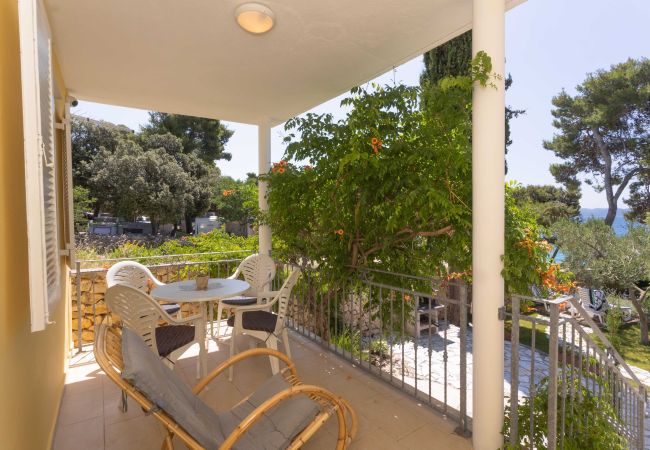 Ferienhaus in Petrcane - Ferienhaus La Casita Ferienhaus in Petrcane - Ferienhaus La Casita