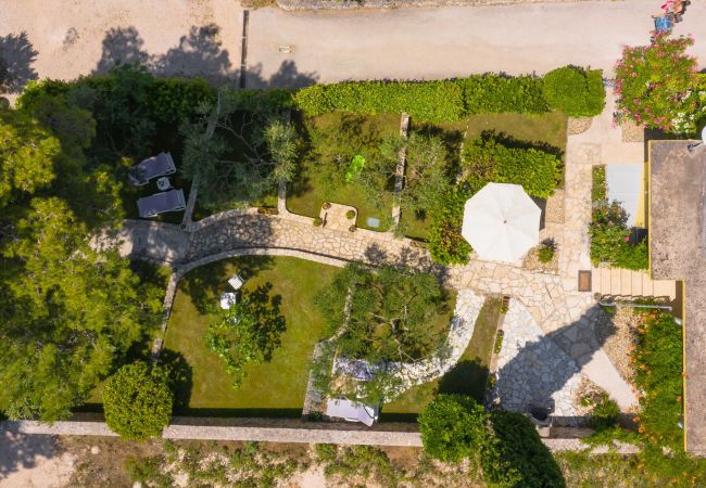 Ferienhaus in Petrcane - Ferienhaus La Casita Ferienhaus in Petrcane - Ferienhaus La Casita