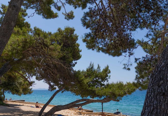 Ferienhaus in Petrcane - Ferienhaus La Casita Ferienhaus in Petrcane - Ferienhaus La Casita