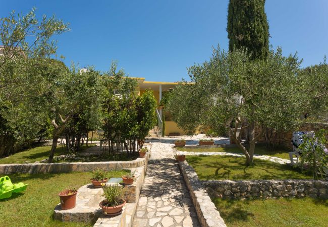 Ferienhaus in Petrcane - Ferienhaus La Casita Ferienhaus in Petrcane - Ferienhaus La Casita