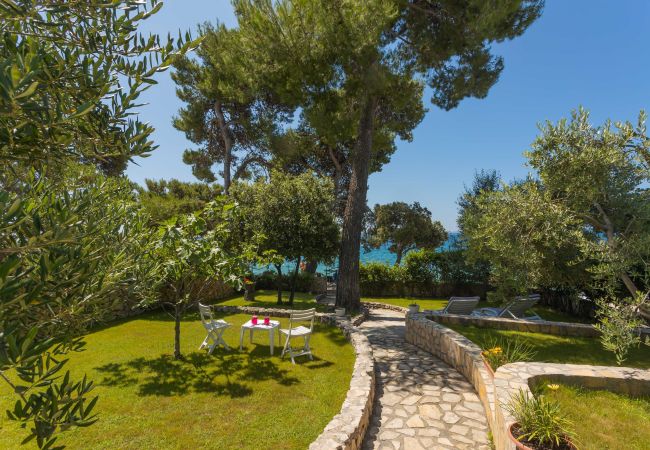 Ferienhaus in Petrcane - Ferienhaus La Casita Ferienhaus in Petrcane - Ferienhaus La Casita