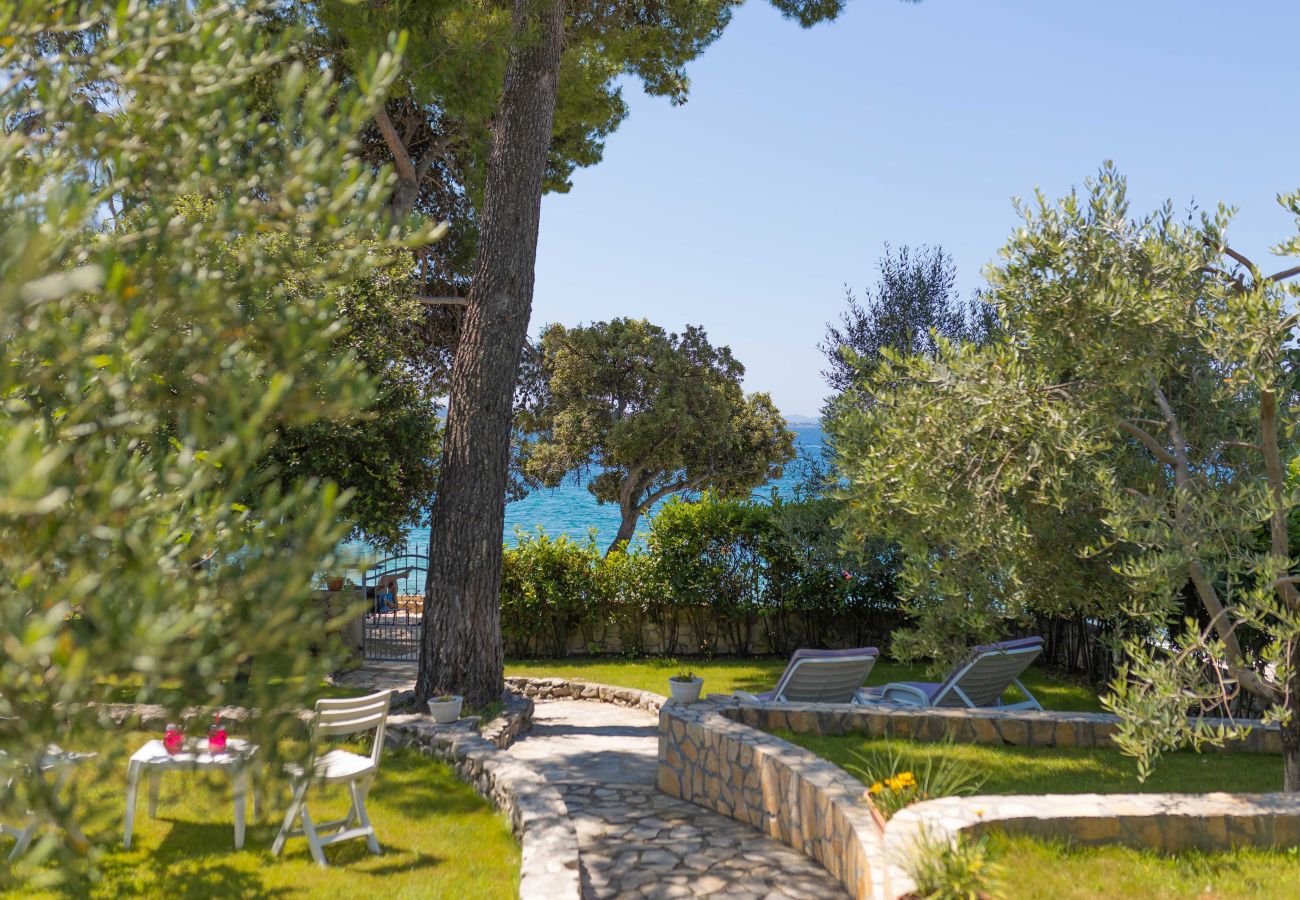 Ferienhaus in Petrcane - Ferienhaus La Casita
