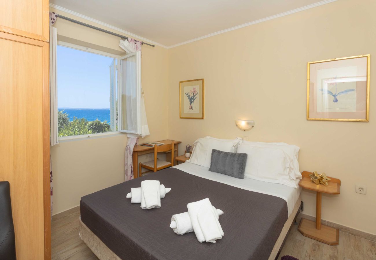 Ferienhaus in Petrcane - Ferienhaus La Casita