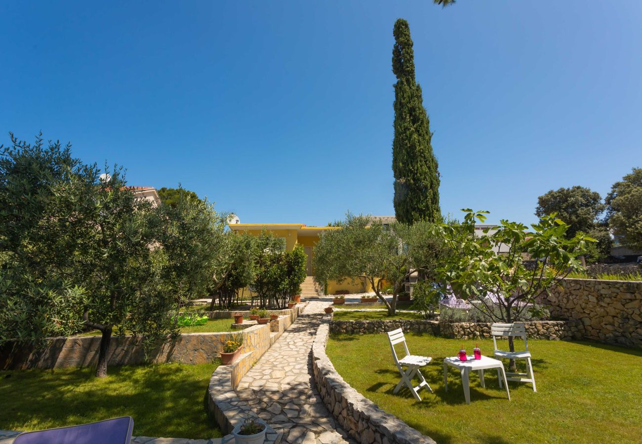 Ferienhaus in Petrcane - Ferienhaus La Casita