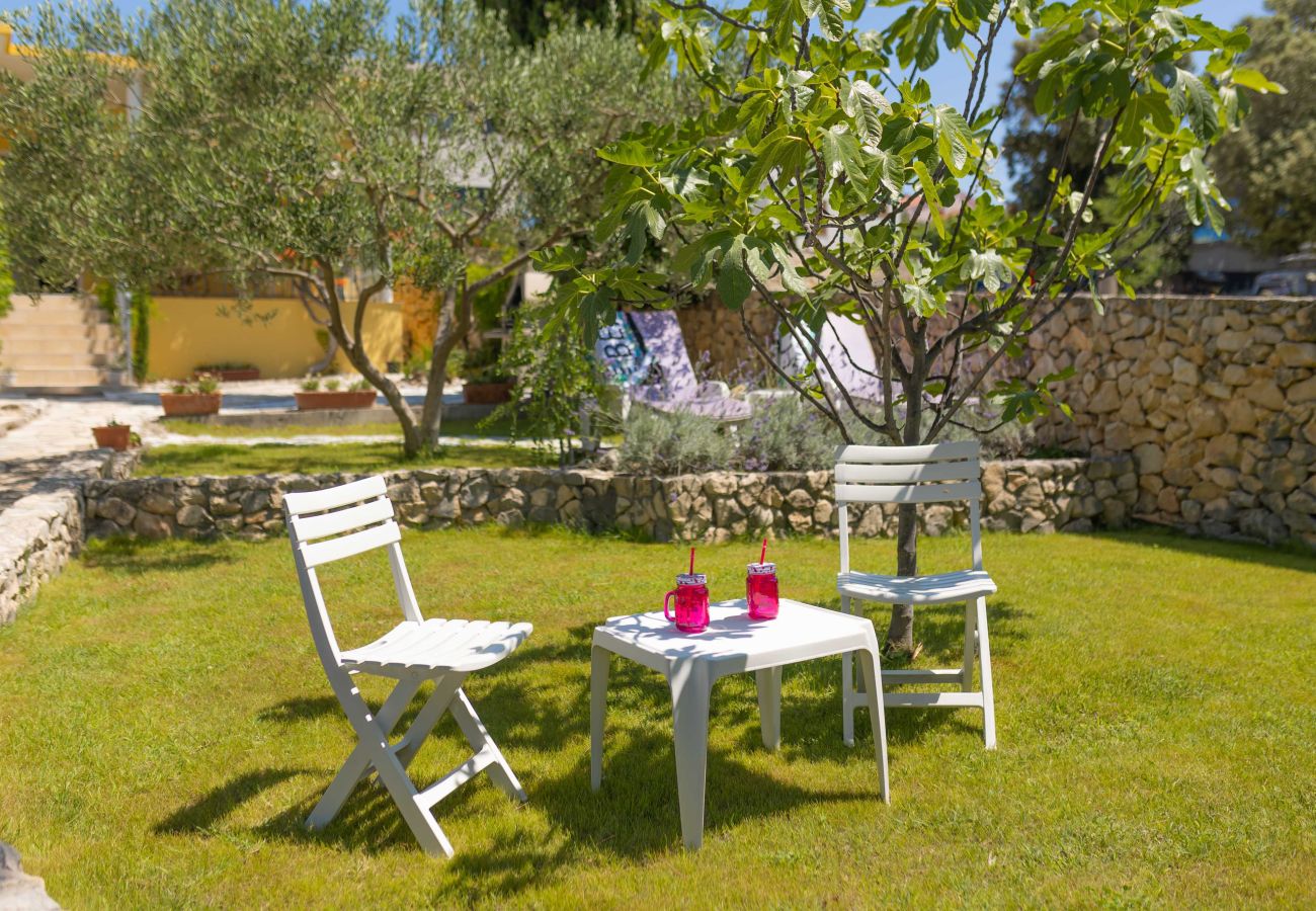 Ferienhaus in Petrcane - Ferienhaus La Casita