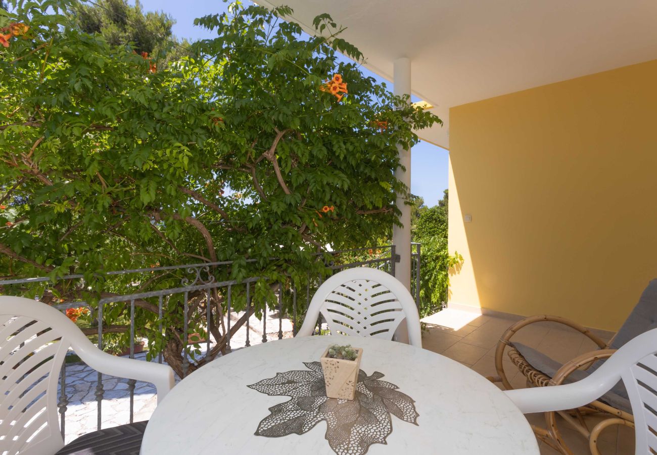 Ferienhaus in Petrcane - Ferienhaus La Casita