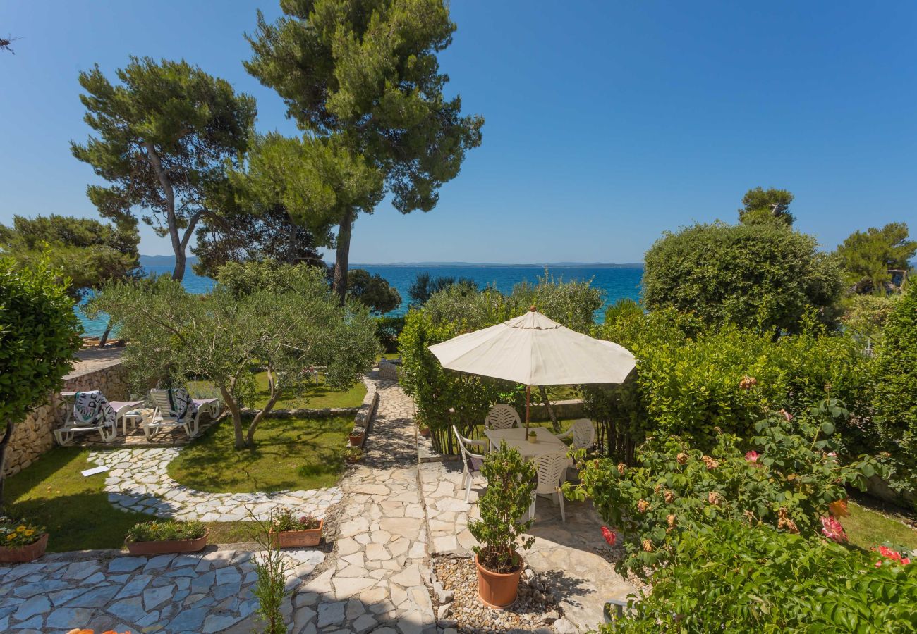 Ferienhaus in Petrcane - Ferienhaus La Casita