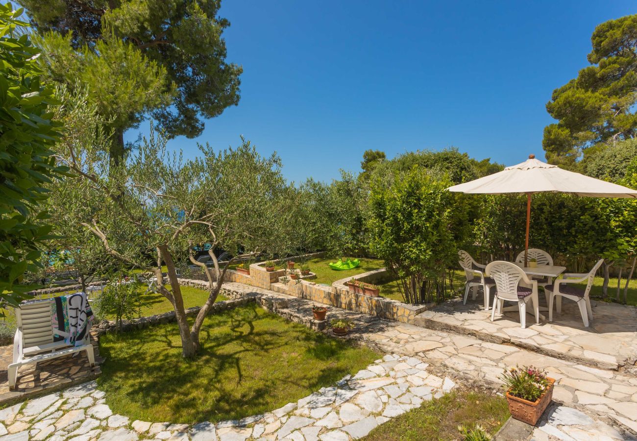 Ferienhaus in Petrcane - Ferienhaus La Casita