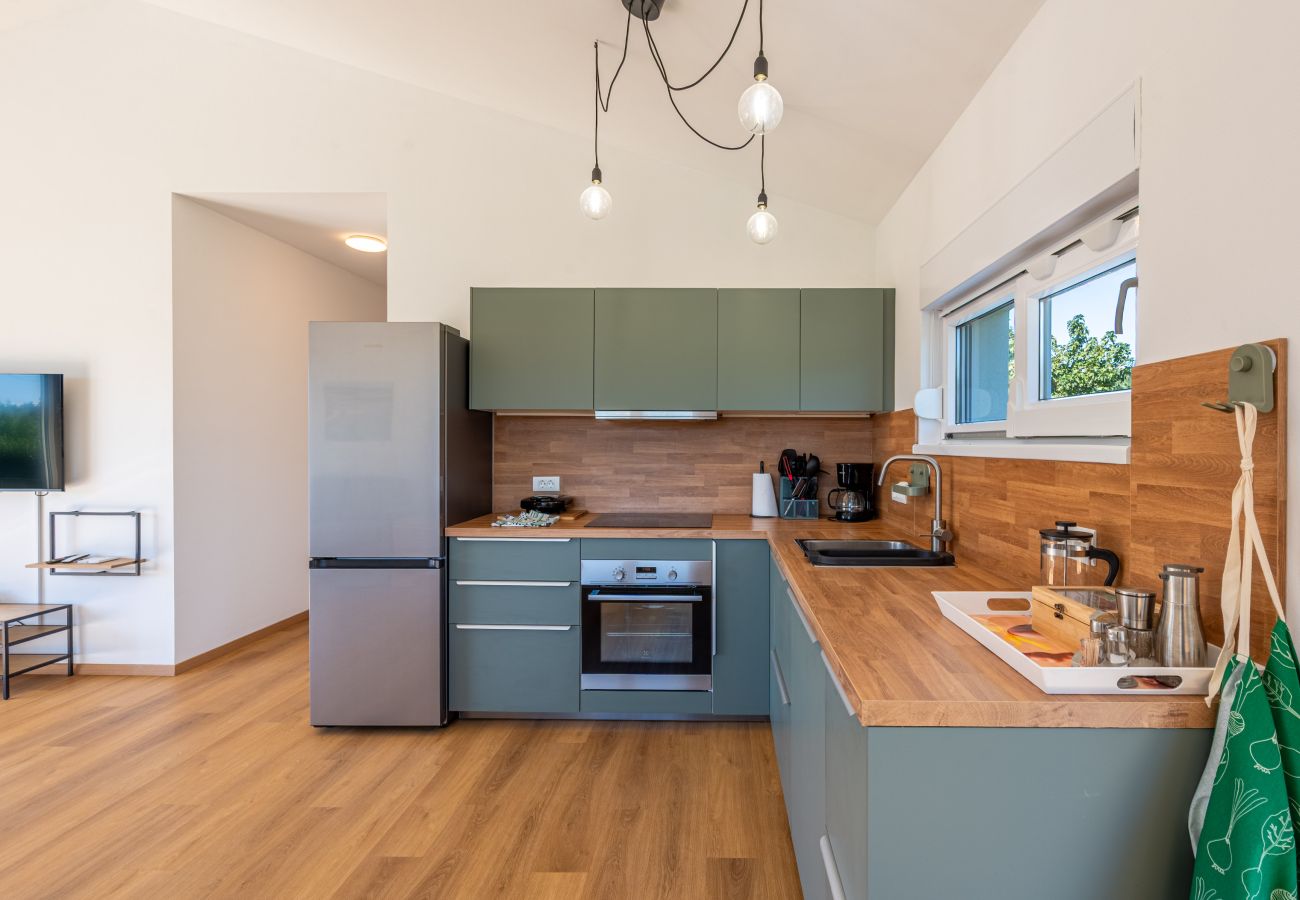 Ferienhaus in Medulin - Poolhaus Renata Medulin (2+2)