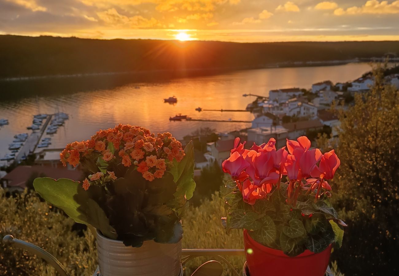 Ferienwohnung in Kampor - Sea View Apartment Ankica with Terrace