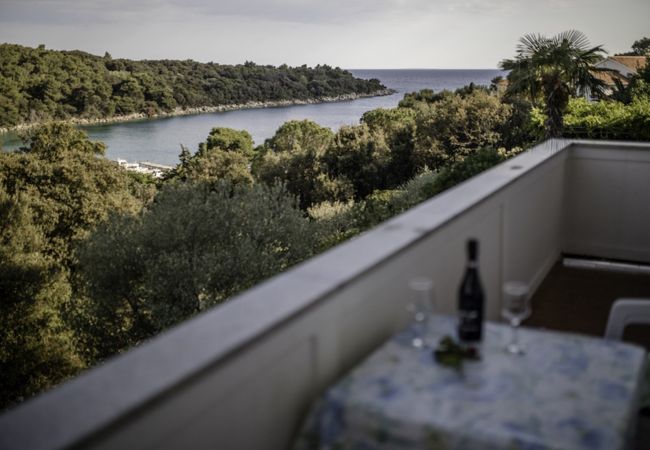 Ferienwohnung in Kampor - Petra Meerblick Apartment 4