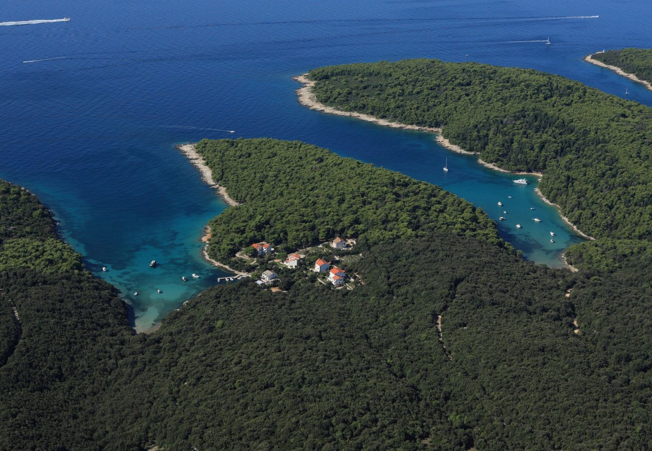 Ferienwohnung in Supetarska Draga - Apartment Nikolina 6 mit Meerblick