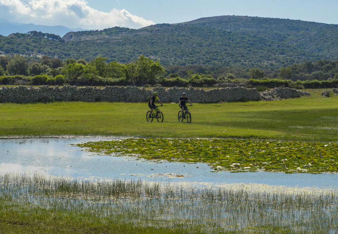 Ferienwohnung in Supetarska Draga - Apartment Nikolina 3 mit Meerblick