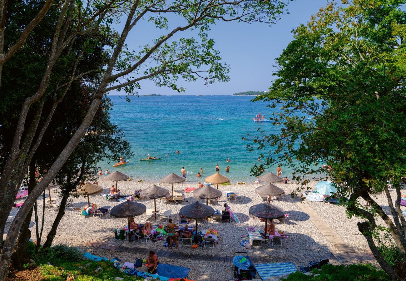 Studio in Funtana - Sea Breeze Funtana Studio Apartment A10