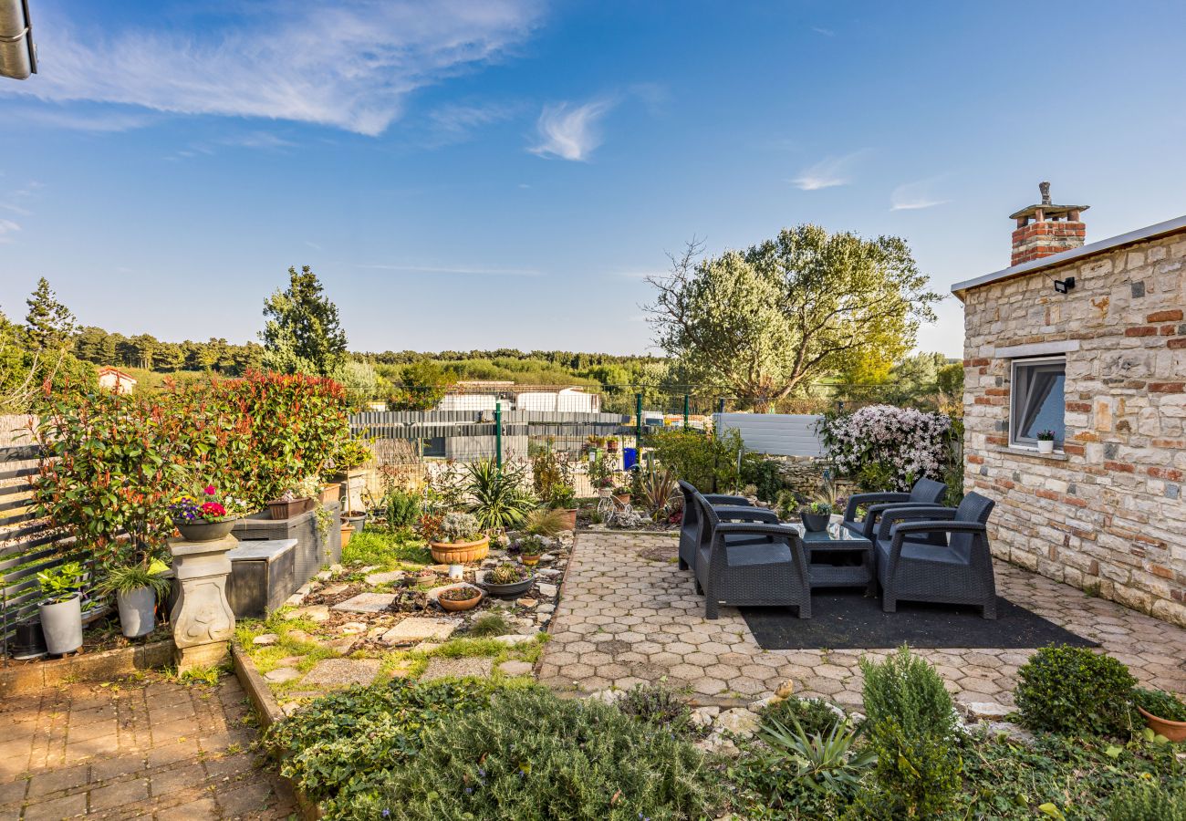 Ferienhaus in Vodnjan - Kacana Blue – Haus mit Pool, Billard und Darts