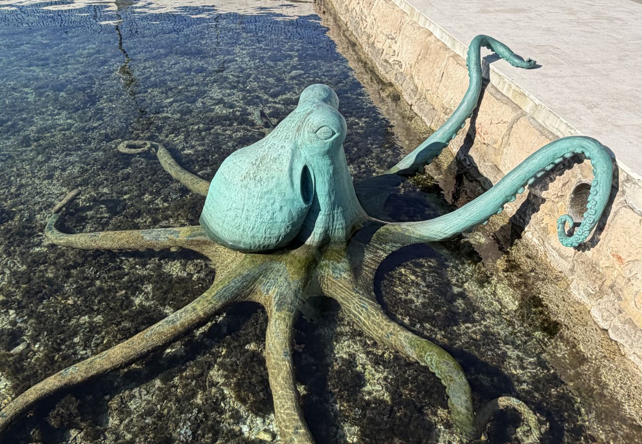 Ferienwohnung in Tisno - Apartments Tisno - Ein-Zimmer-Wohnung (links)