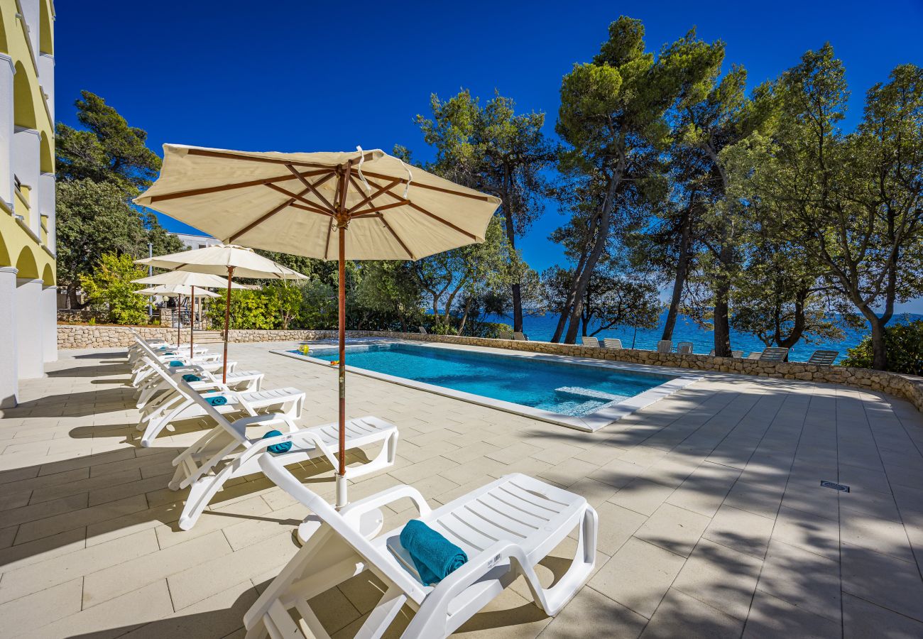Studio in Petrcane - Villa Nela am Strand - Studio-Apartment 22
