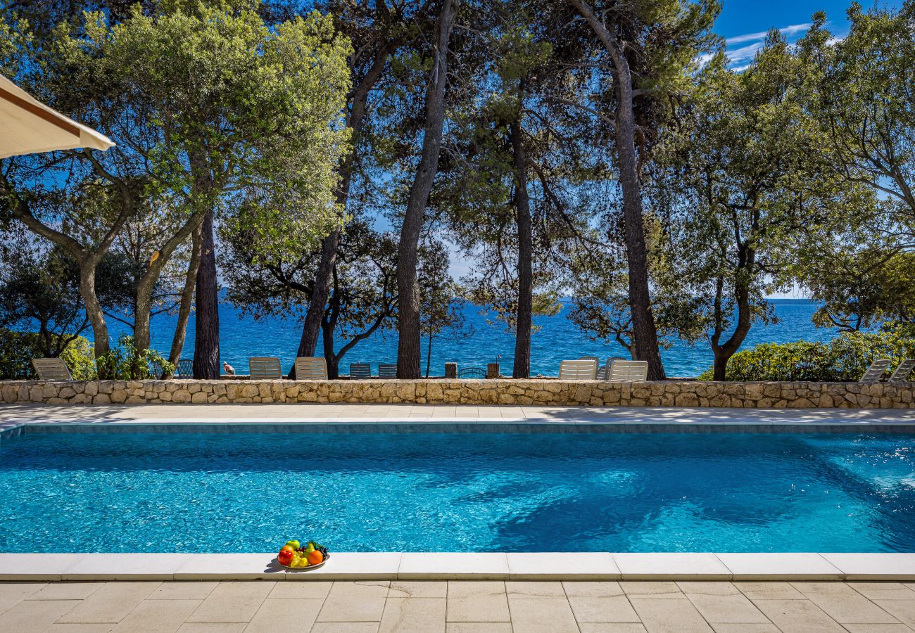 Studio in Petrcane - Villa Nela am Strand - Studio-Apartment 22