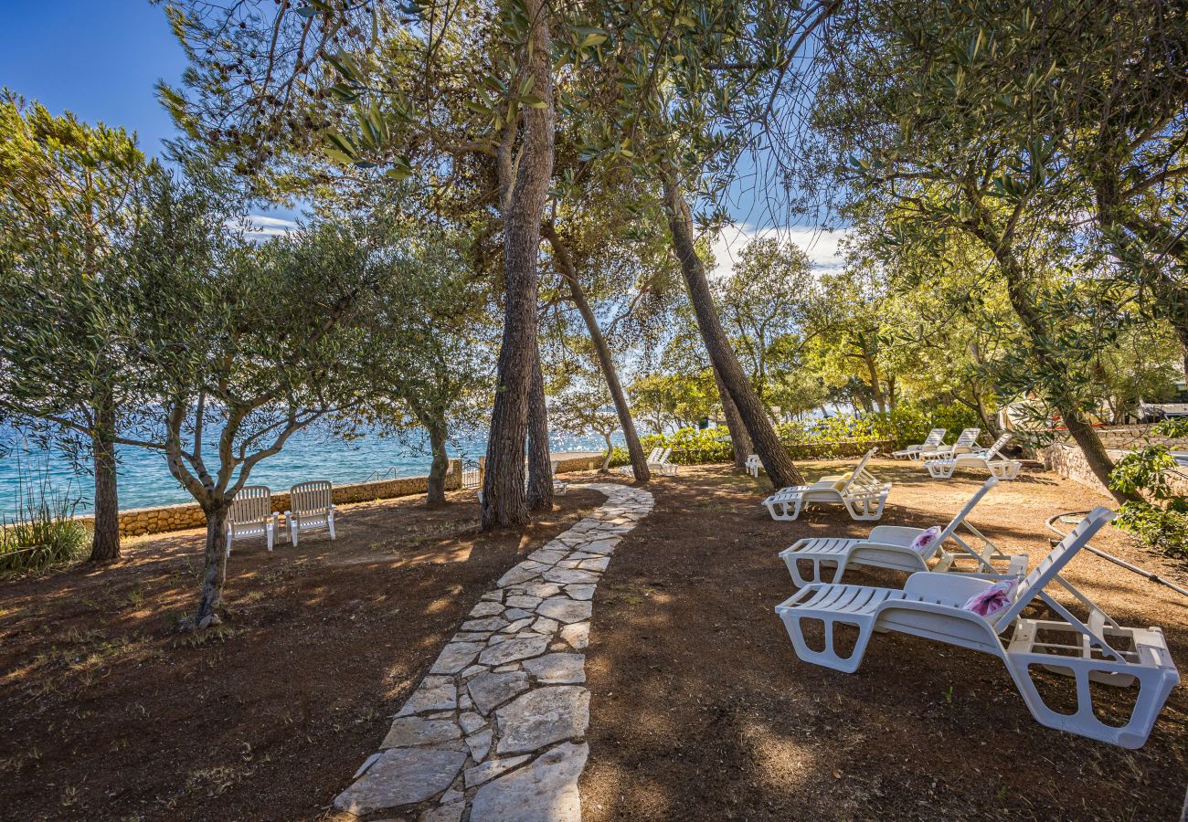 Studio in Petrcane - Villa Nela am Strand - Studio-Apartment 12