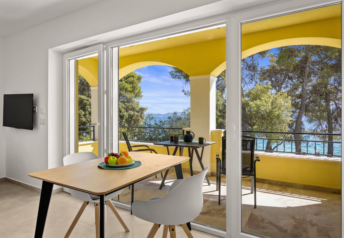 Studio in Petrcane - Villa Nela am Strand - Studio-Apartment 12