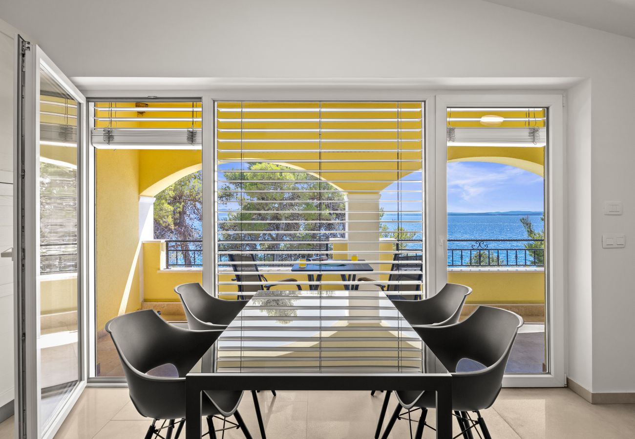 Studio in Petrcane - Strandvilla Nela – Apartment mit einem Schlafzimmer, Nr. 33