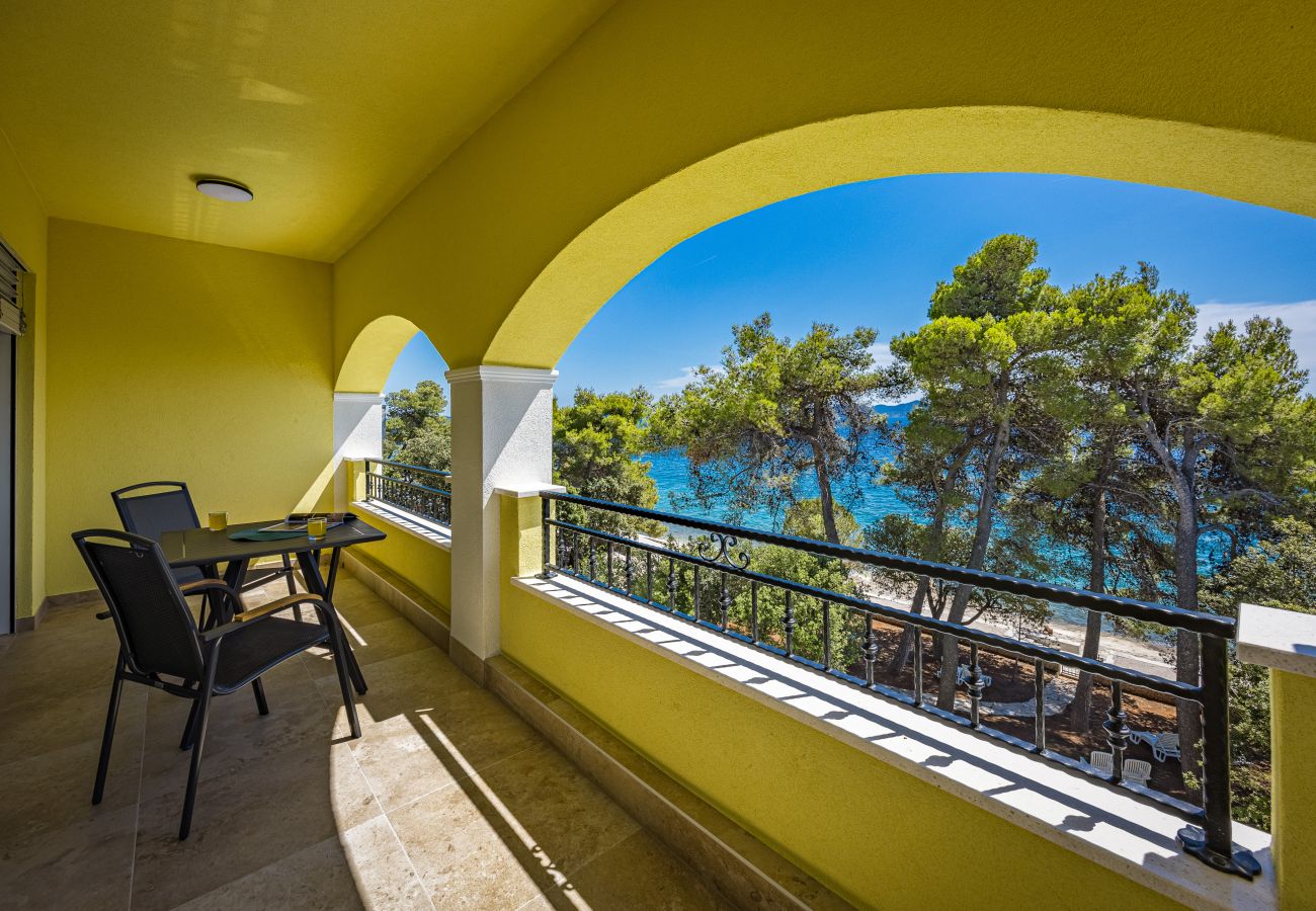 Studio in Petrcane - Strandvilla Nela – Apartment mit einem Schlafzimmer, Nr. 33