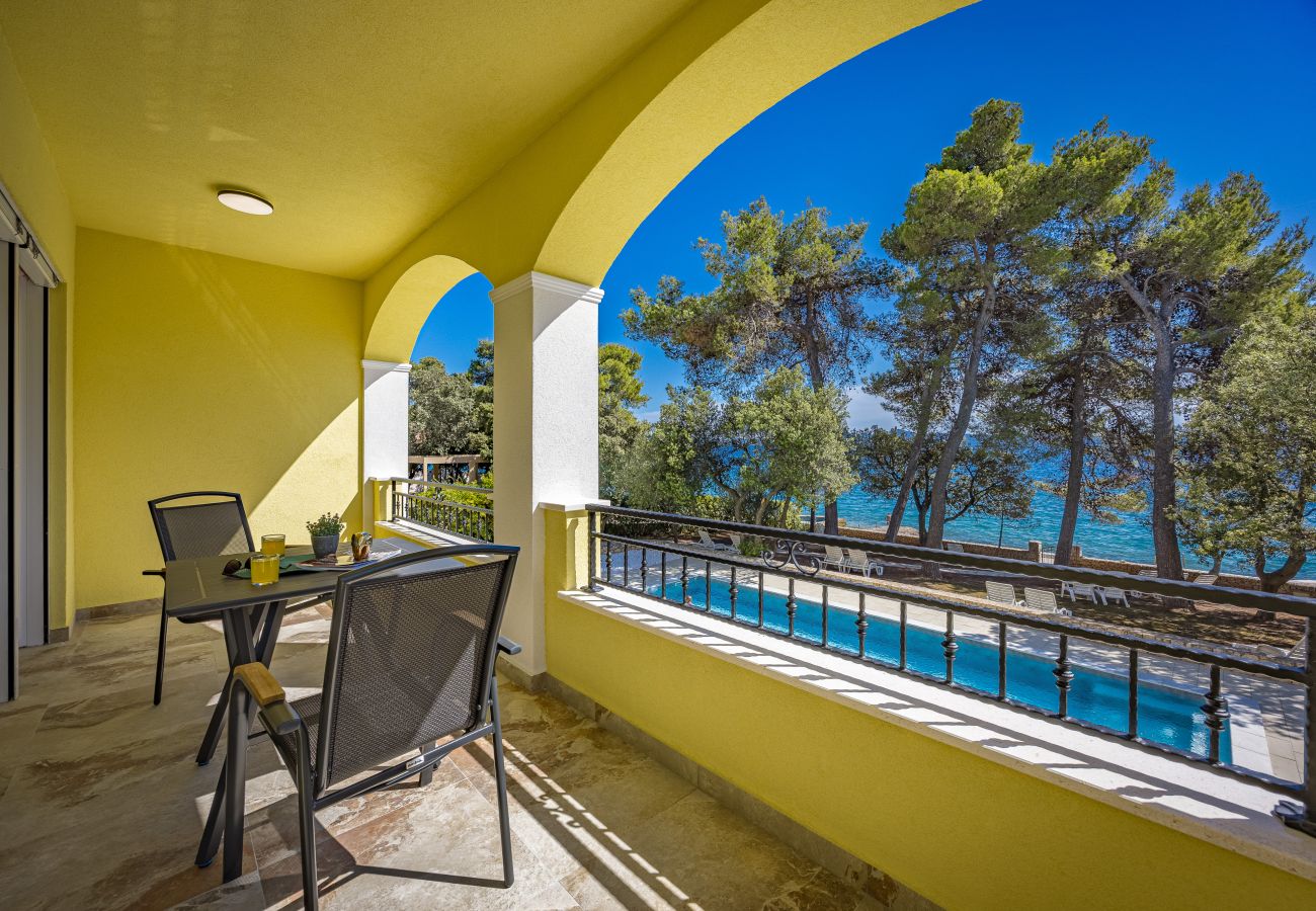Studio in Petrcane - Strandvilla Nela – Apartment mit einem Schlafzimmer, Nr. 13