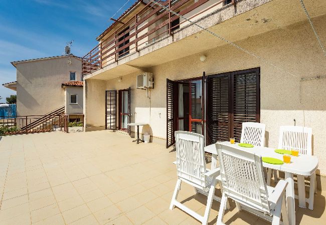 Apartment in Pješcana uvala - 70 m from the Beach - Apartment Nera Apartment in Pješcana uvala - 70 m from the Beach - Apartment Nera