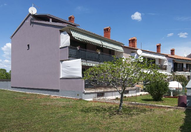 Studio in Valbandon - Lovely Relaxing  Studio with Terrace - Kajfes A3 Studio in Valbandon - Lovely Relaxing  Studio with Terrace - Kajfes A3