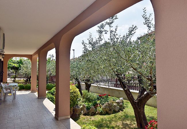 Apartment in Pula - Apartment Denis with Terrace & Lovely Garden  Apartment in Pula - Apartment Denis with Terrace & Lovely Garden