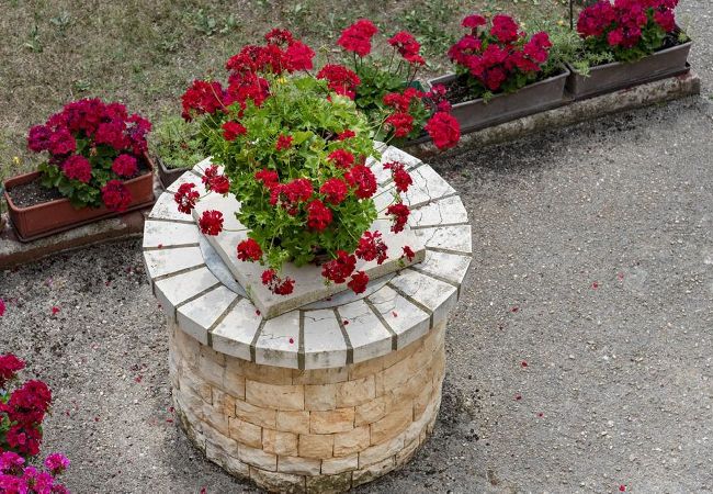 Apartment in Fažana - Modern Three Bedroom Apartment - Flowers B Apartment in Fažana - Modern Three Bedroom Apartment - Flowers B