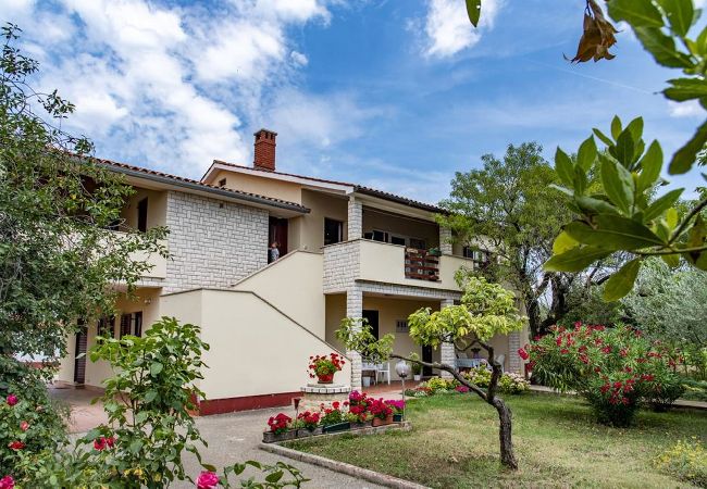 Apartment in Fažana - Lovely One Bedroom Apartment - Flowers A Apartment in Fažana - Lovely One Bedroom Apartment - Flowers A