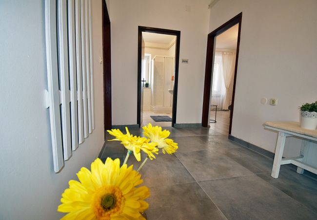 Apartment in Fažana - Lovely One Bedroom Apartment - Flowers A Apartment in Fažana - Lovely One Bedroom Apartment - Flowers A