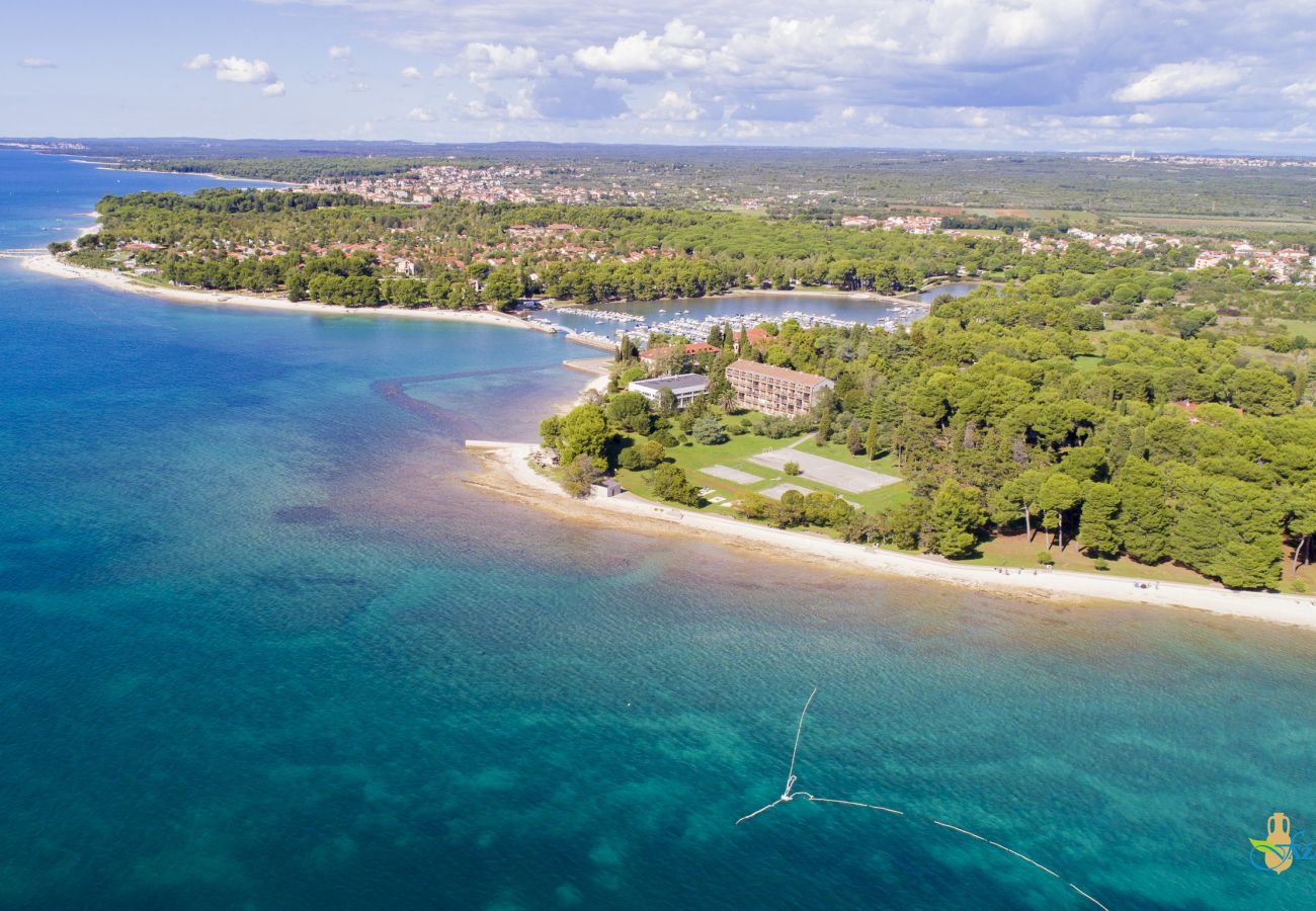 Apartment in Fažana - Lovely One Bedroom Apartment - Flowers A