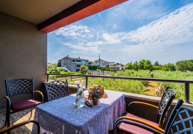 Apartment in Medulin - Apartments Oliveto with Sea View - Terra  Apartment in Medulin - Apartments Oliveto with Sea View - Terra