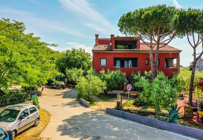 Apartment in Medulin - Apartments Oliveto with Sea View - Terra  Apartment in Medulin - Apartments Oliveto with Sea View - Terra