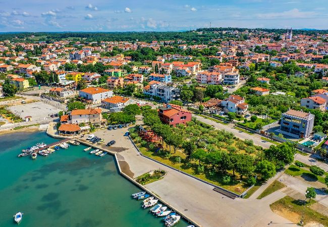 Apartment in Medulin - Apartments Oliveto with Sea View - Terra  Apartment in Medulin - Apartments Oliveto with Sea View - Terra