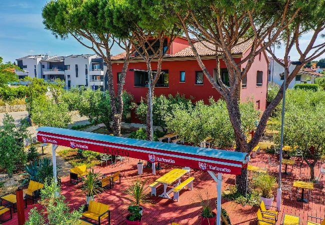 Apartment in Medulin - Apartments Oliveto with Sea View - Terra  Apartment in Medulin - Apartments Oliveto with Sea View - Terra