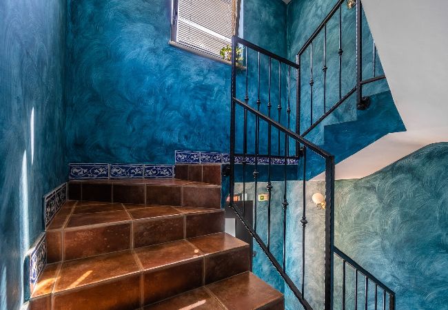 Apartment in Medulin - Apartments Oliveto with Sea View - Terra  Apartment in Medulin - Apartments Oliveto with Sea View - Terra