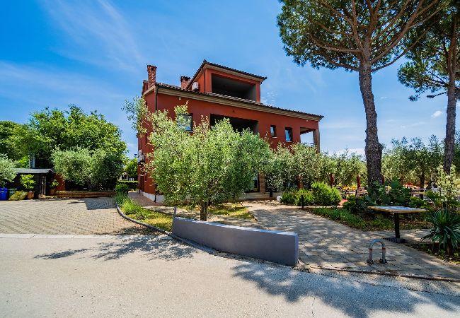 Apartment in Medulin - Apartments Oliveto with Sea View - Terra  Apartment in Medulin - Apartments Oliveto with Sea View - Terra