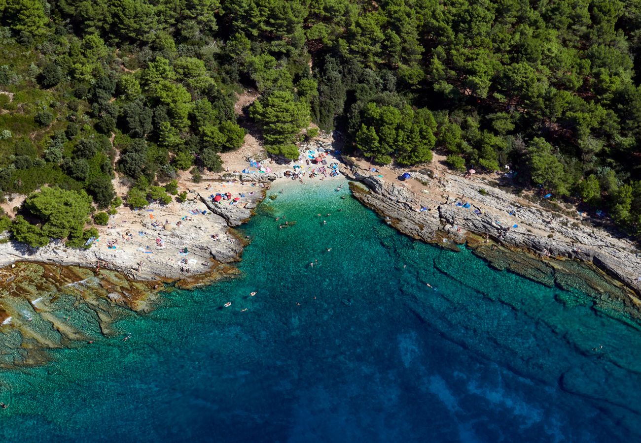 Apartment in Premantura - Villa Frida - Apartment Olive with Terrace 