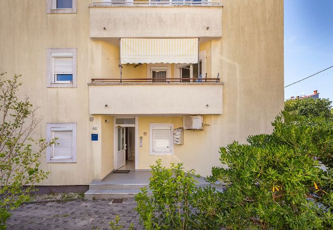Apartment in Pula - Apartment Stellina with Cozy Balcony Apartment in Pula - Apartment Stellina with Cozy Balcony