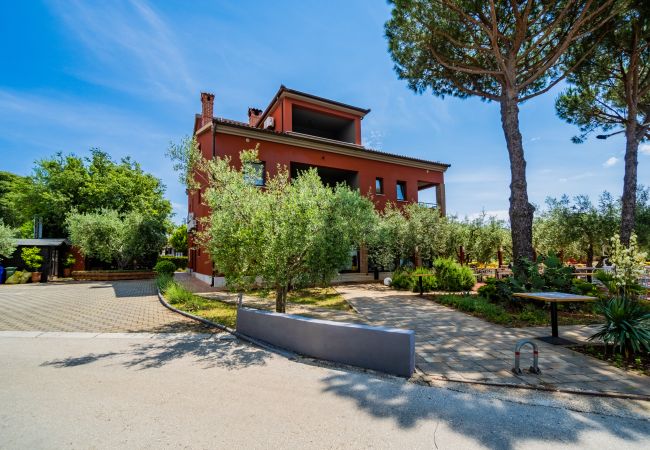 Apartment in Medulin - Apartments Oliveto with Sea View - Lavanda  Apartment in Medulin - Apartments Oliveto with Sea View - Lavanda