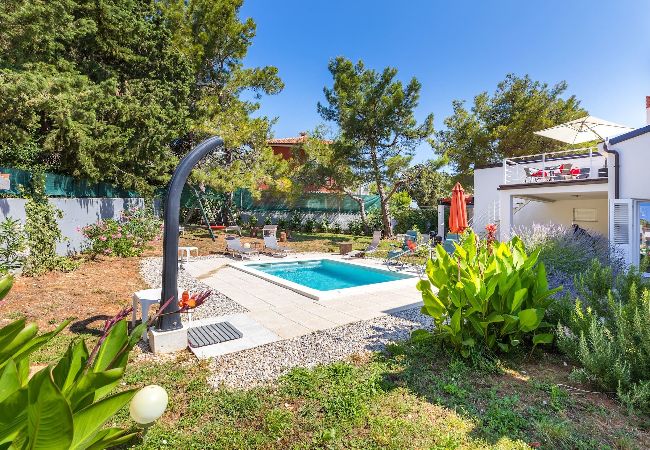 Villa in Premantura - Villa Ziziphus - Private Pool with Jacuzzi  Villa in Premantura - Villa Ziziphus - Private Pool with Jacuzzi