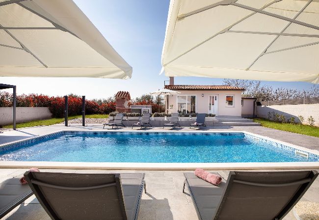 Villa in Valbandon - Villa Berg II - Pool, Game Room, Trampoline Villa in Valbandon - Villa Berg II - Pool, Game Room, Trampoline