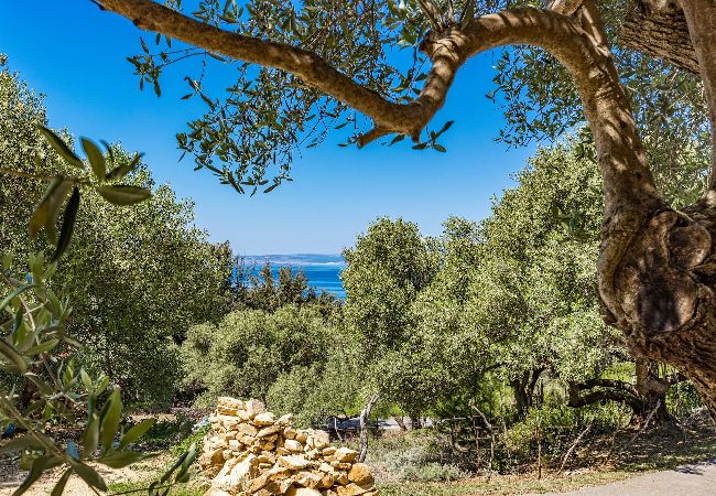 Apartment in Supetarska Draga - Anamar- One Bedroom Apartment with Sea View Apartment in Supetarska Draga - Anamar- One Bedroom Apartment with Sea View